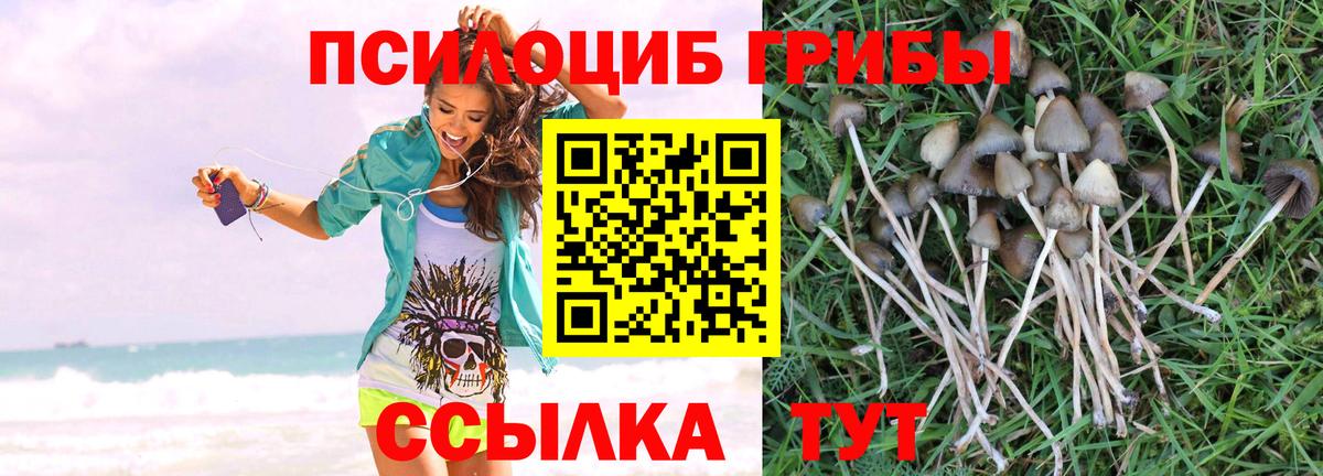 Псилоцибиновые грибы Magic Shrooms  Вход с VPN  Кстово 