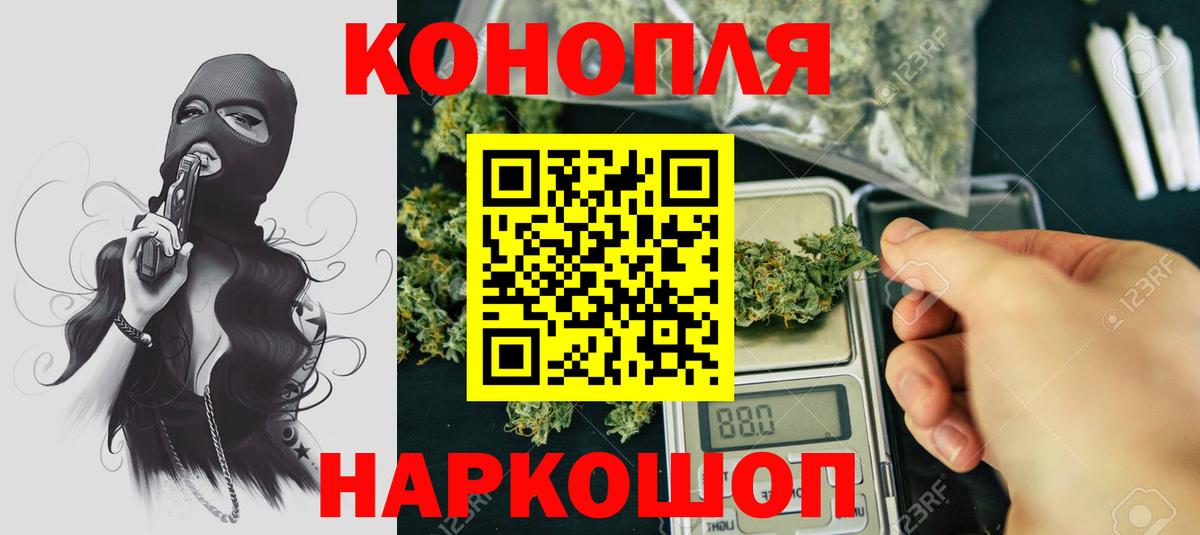 Каннабис конопля Кстово